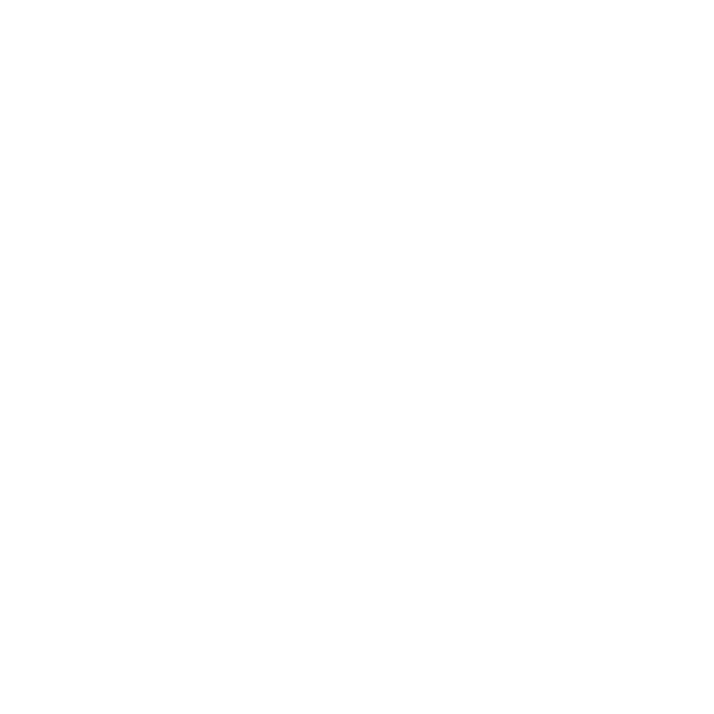 Blauwasser IT